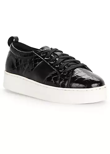 Kaleidoscope Black Leather Trainers | Kaleidoscope