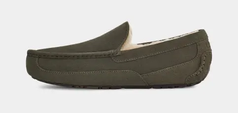 Men's Ascot Slipper