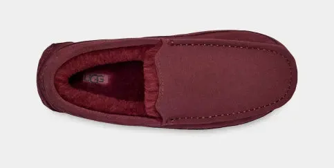 Men's Ascot Slipper