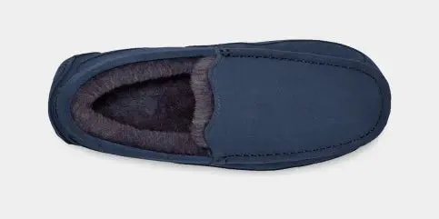 Men's Ascot Slipper