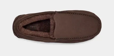 Men's Ascot Slipper