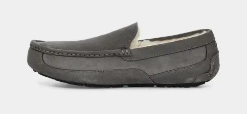 Men's Ascot Slipper