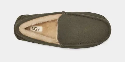 Men's Ascot Slipper