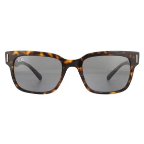 Sunglasses | Square Tortoise Dark Grey Sunglasses | Ray-Ban