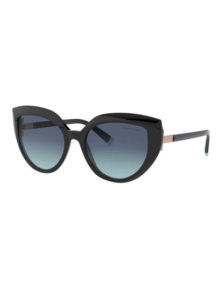 TF4170 Black Sunglasses